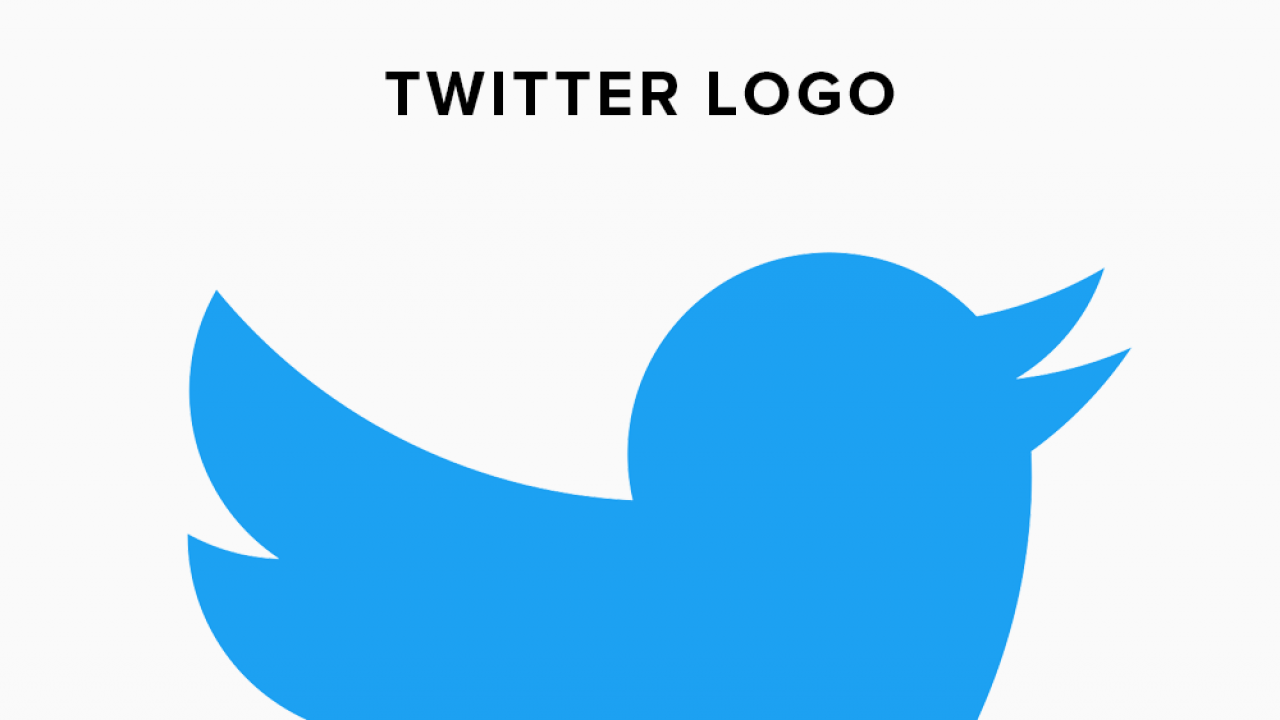 Twitter Logo The Story Of One Famous Logo Turbologo Blog