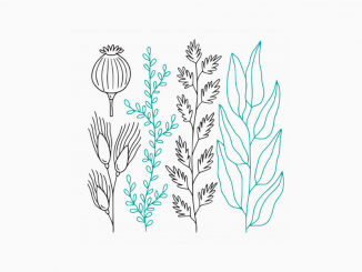 minimal flowers
