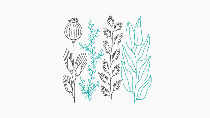 minimal flowers minimal flowers