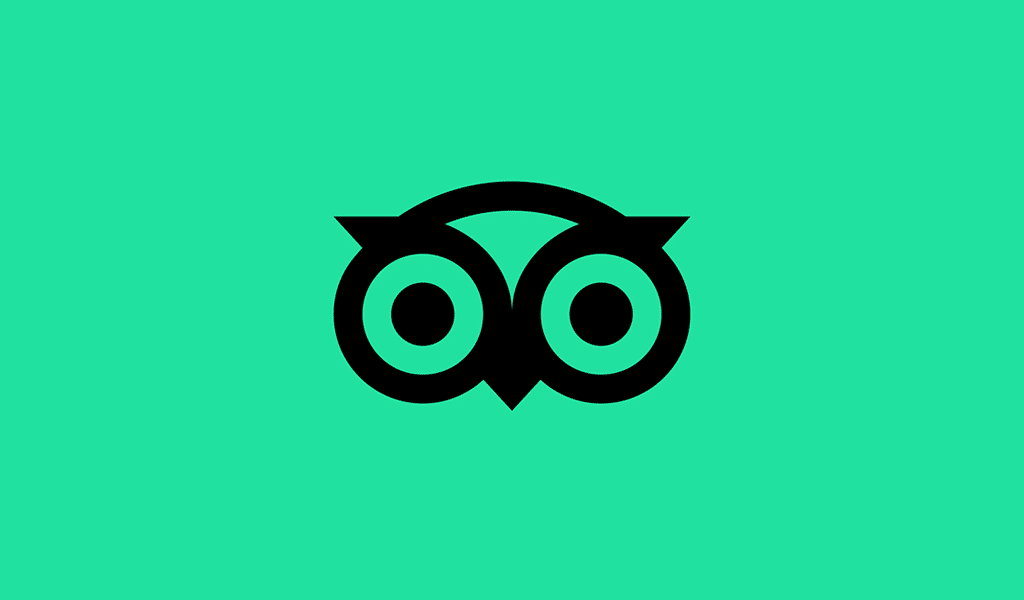 Owls Logo How To Design Online TURBOLOGO Blog